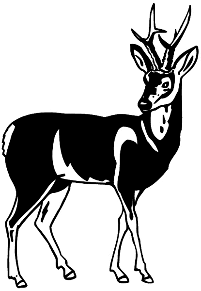 Deer with antlers vinyl sticker. Customize on line.      Animals Insects Fish 004-1016  